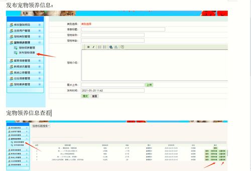 精品畢設(shè) java javaweb寵物領(lǐng)養(yǎng)平臺管理系統(tǒng)完整源碼